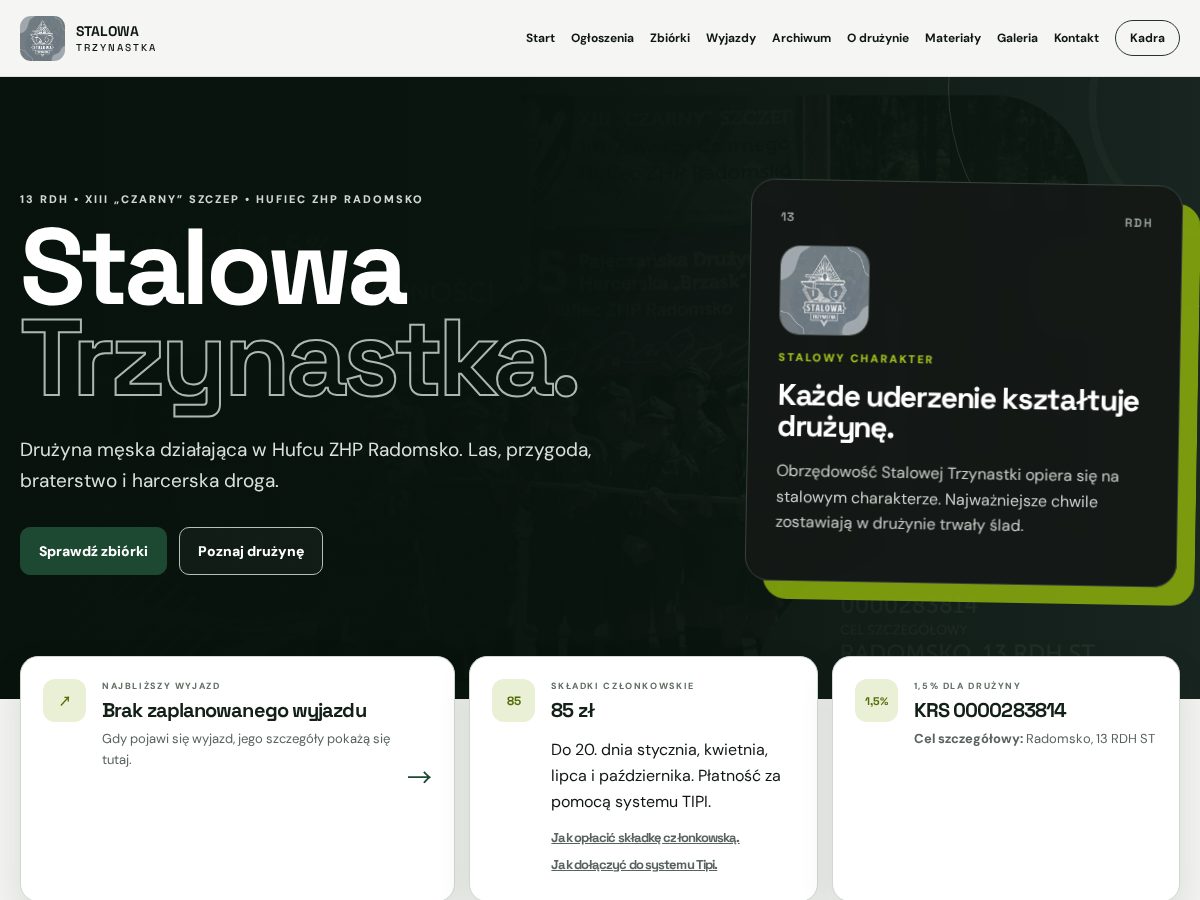 Landing-page snapshot of stalowatrzynastka.com