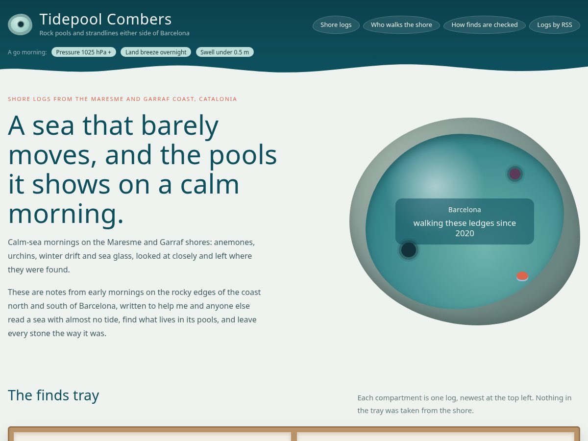 Landing-page snapshot of tidepoolcombers.com