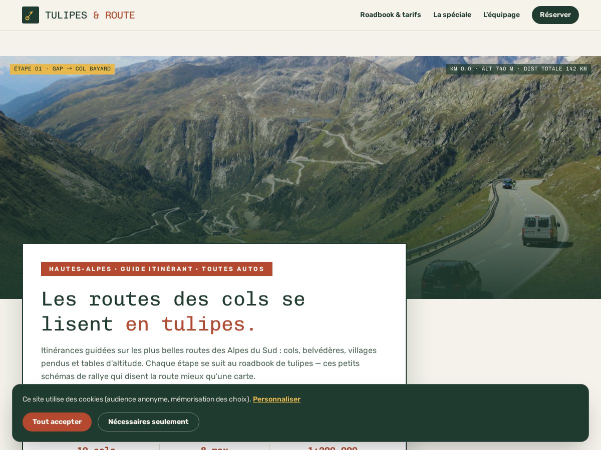 Landing-page snapshot of tulipesetroute.click