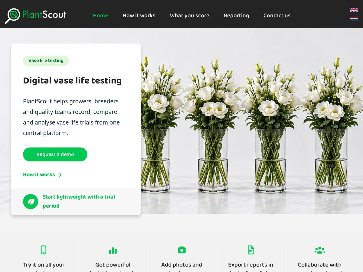 Landing-page snapshot of vaselifetest.com
