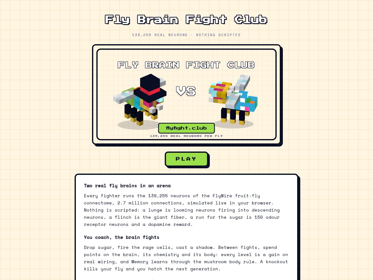 Landing-page snapshot of flyfight.club