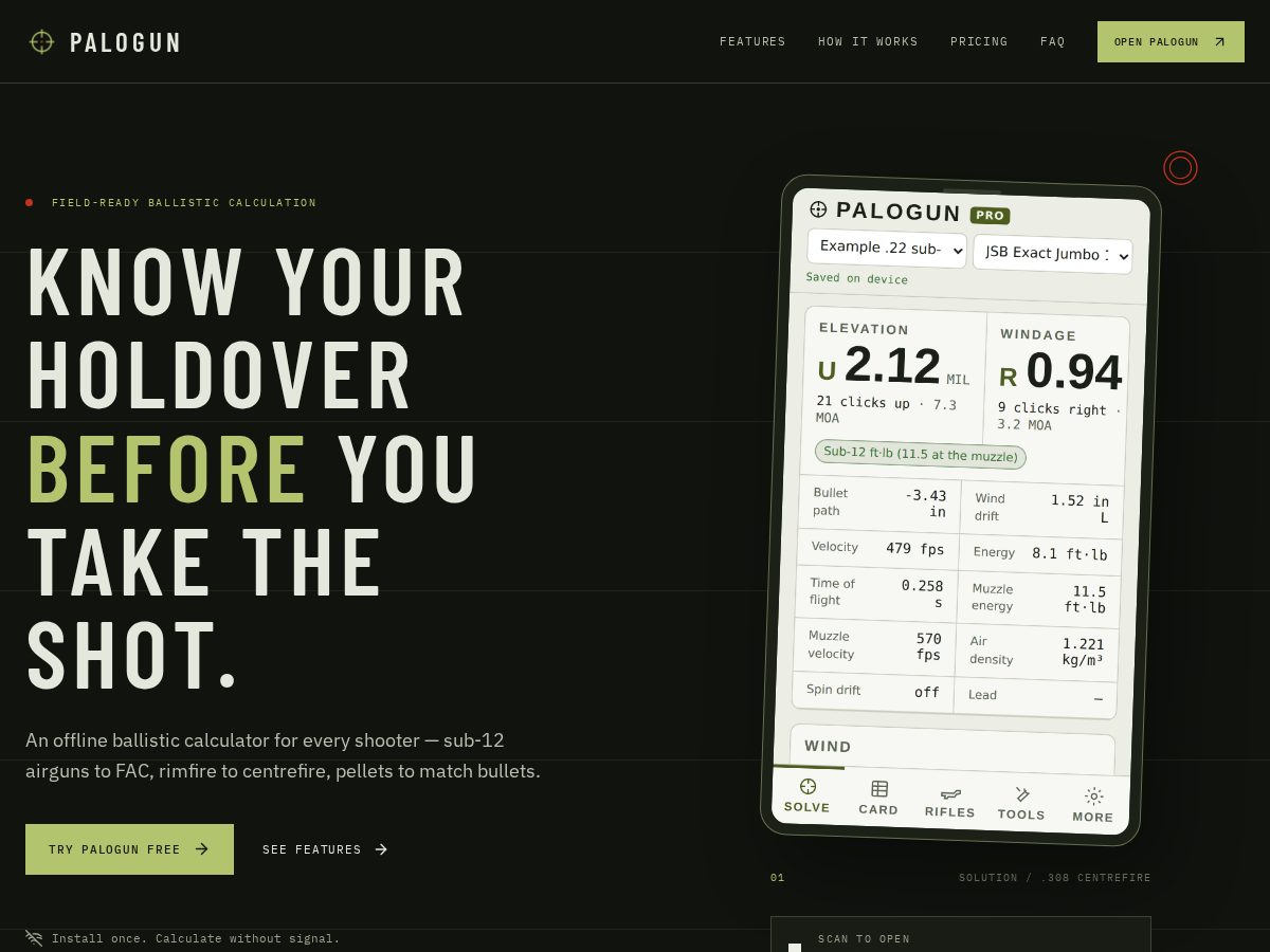 Landing-page snapshot of palogun.com