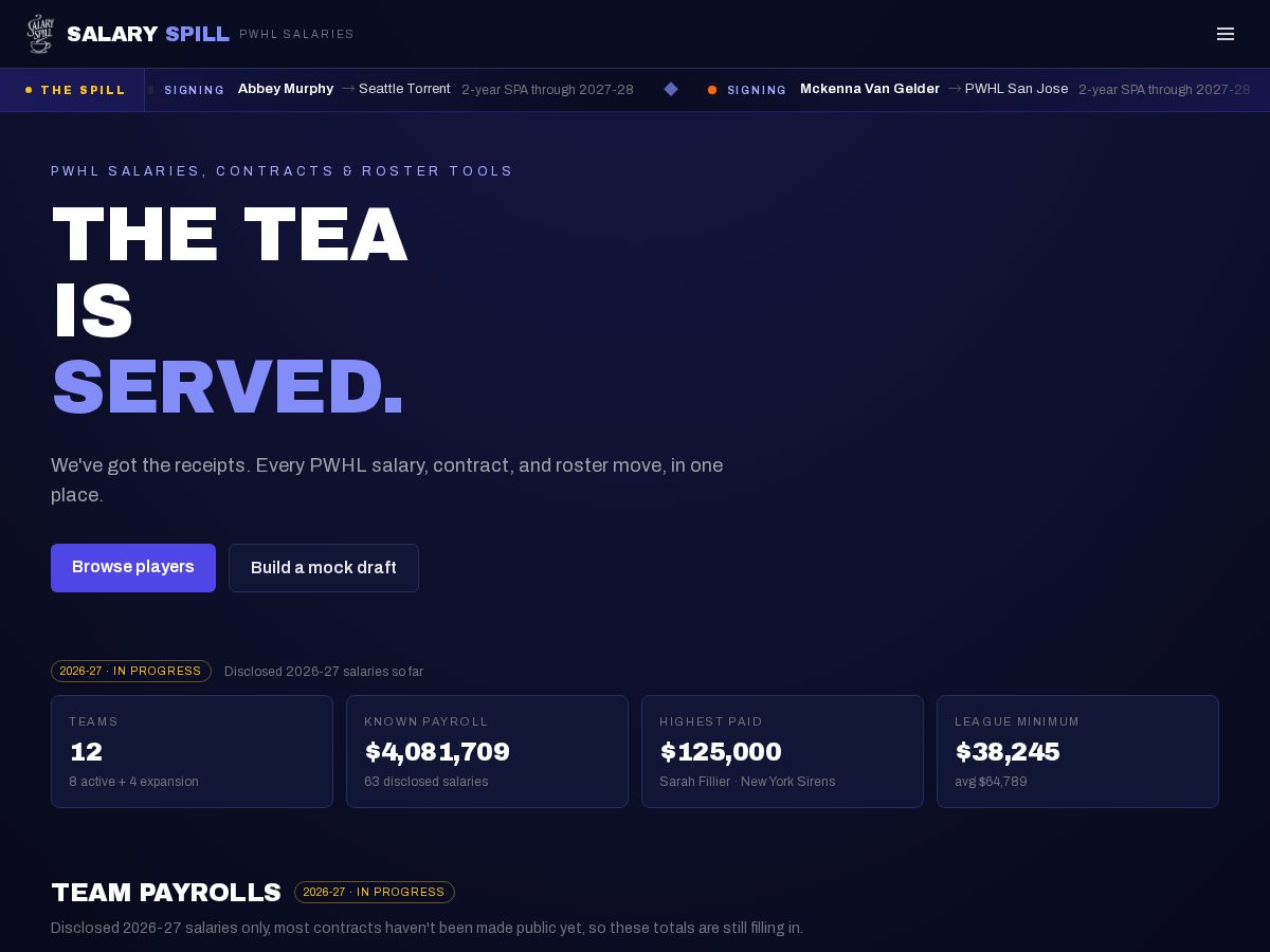 Landing-page snapshot of salaryspill.com