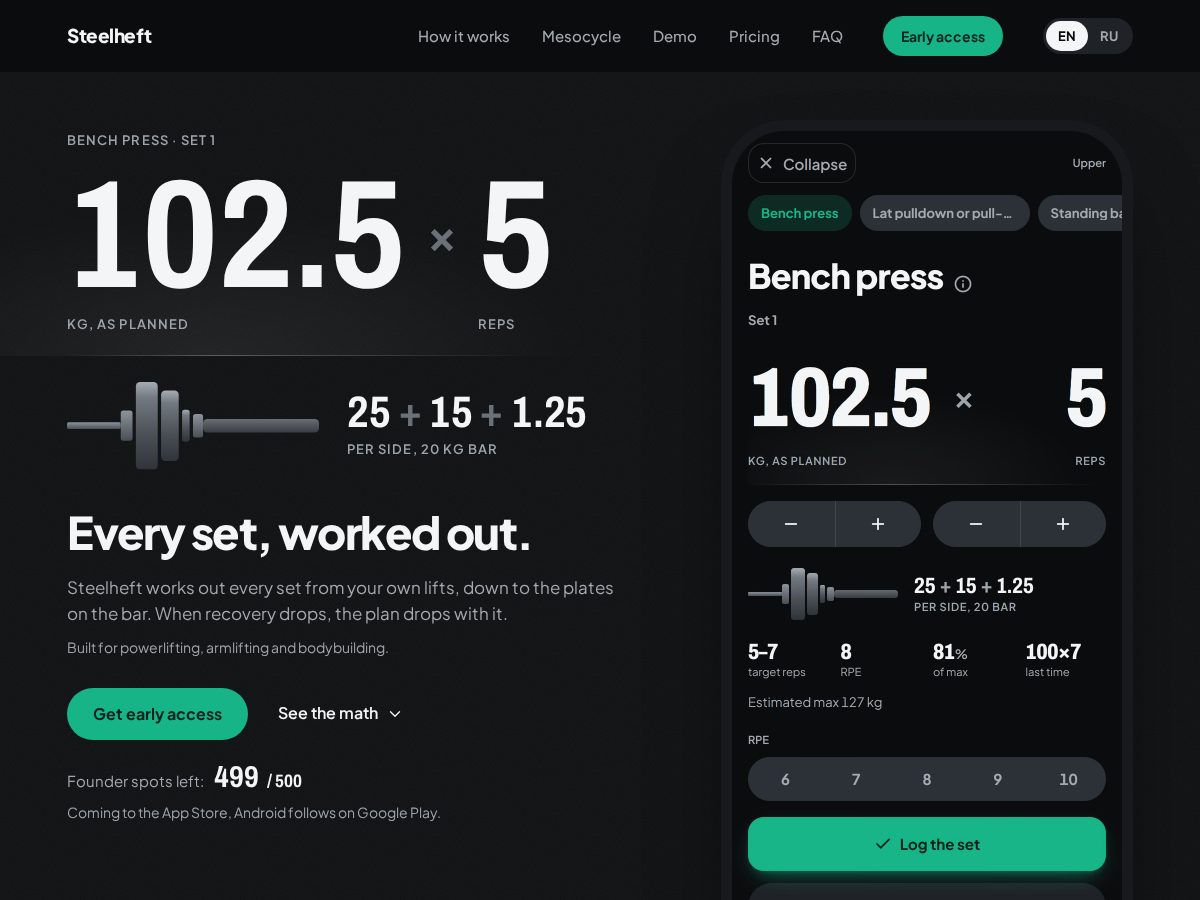 Landing-page snapshot of steelheft.com