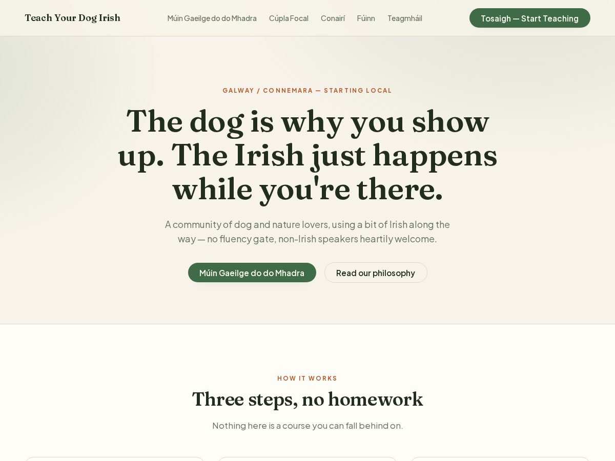Landing-page snapshot of teachyourdogirish.com