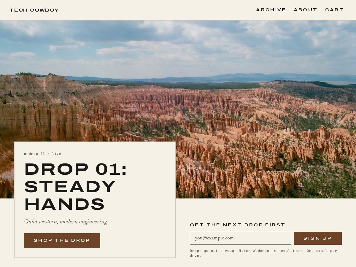 Landing-page snapshot of techcowboy.dev