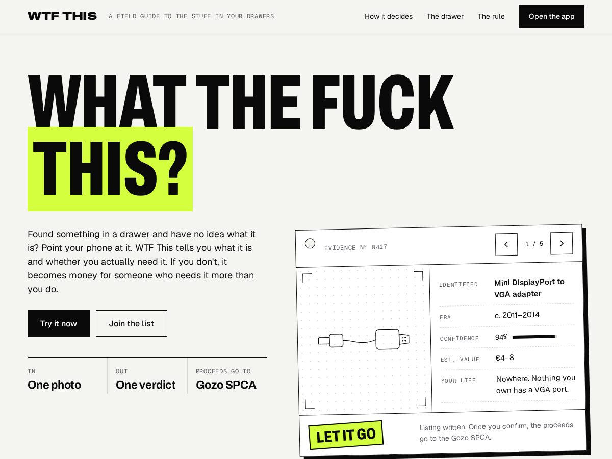 Landing-page snapshot of wtfthis.com