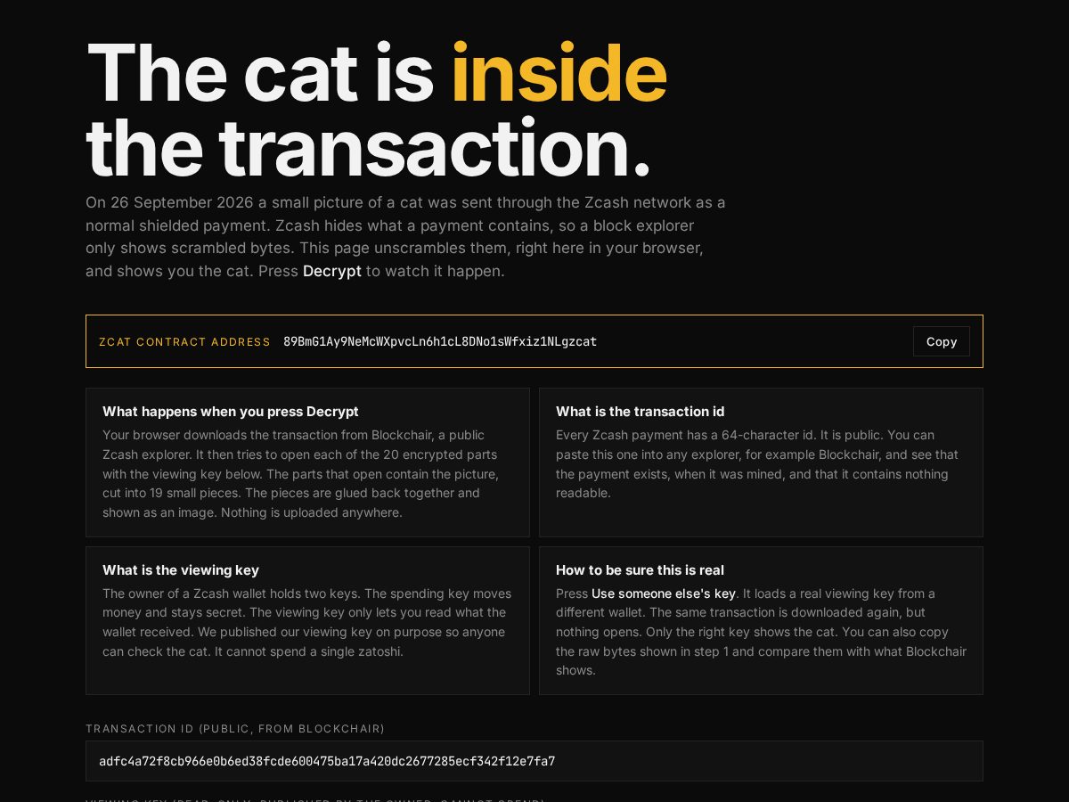 Landing-page snapshot of zcat.tech