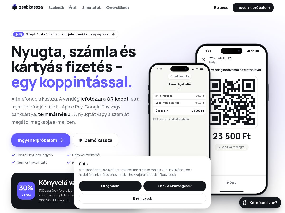 Landing-page snapshot of zsebkassza.com