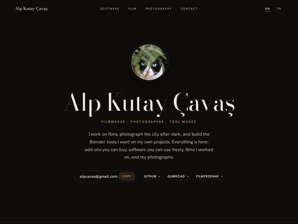 Landing-page snapshot of alpcavas.com