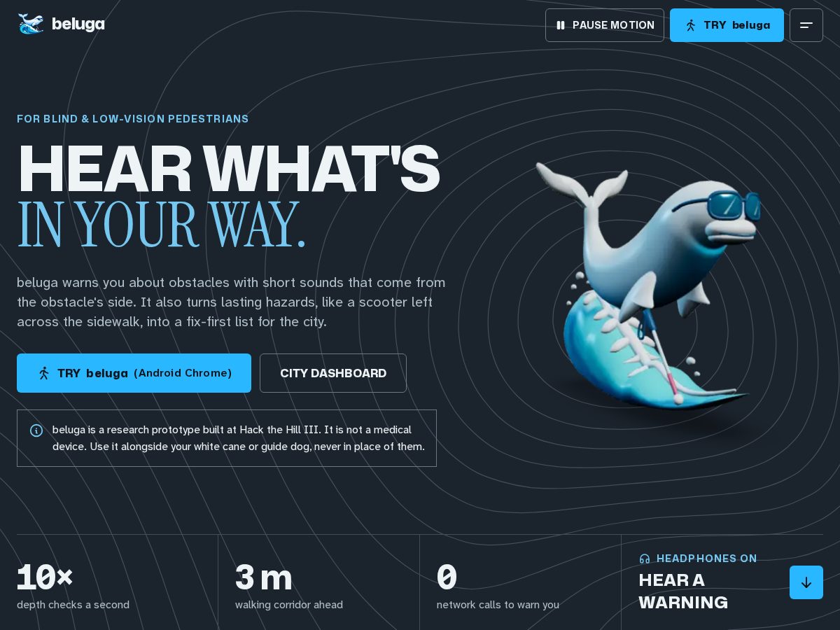 Landing-page snapshot of beluga.surf