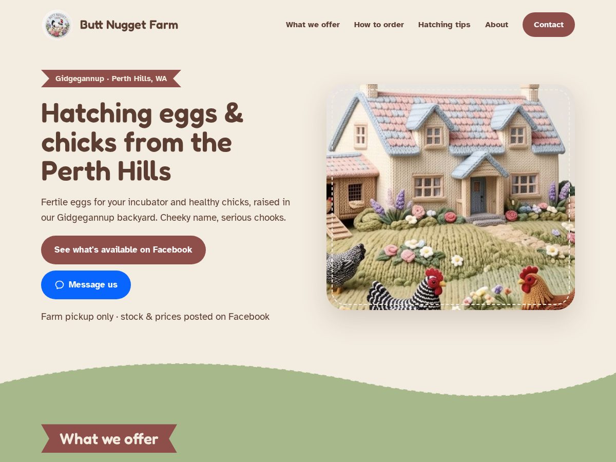 Landing-page snapshot of buttnuggetfarm.com