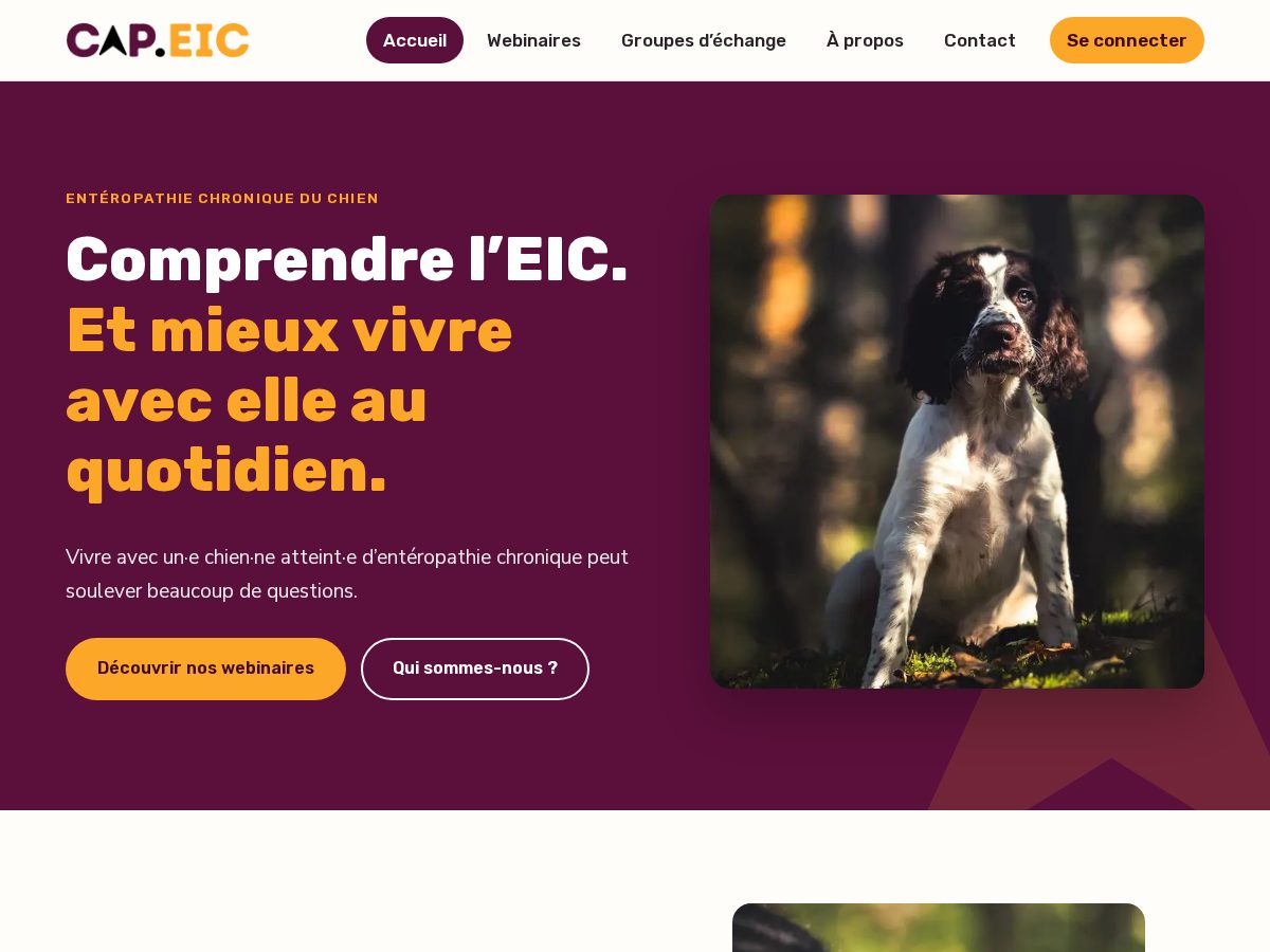 Landing-page snapshot of cap-eic.com