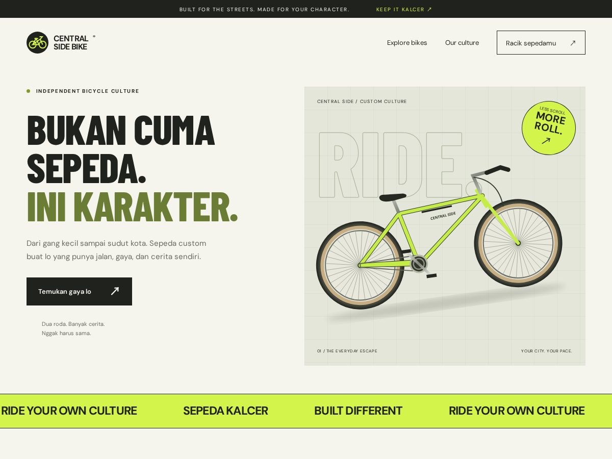 Landing-page snapshot of centralsidebike.com