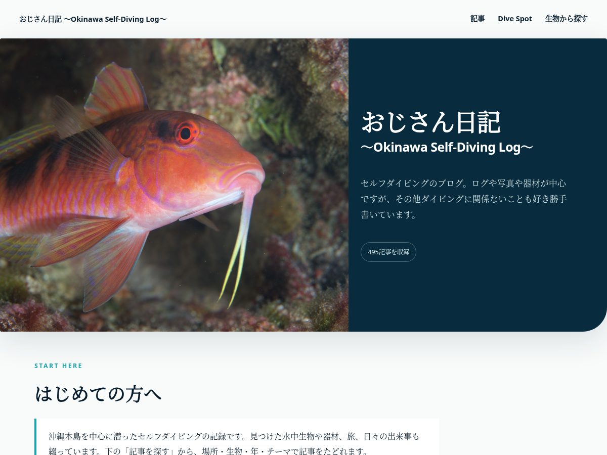 Landing-page snapshot of diving-snowman.com
