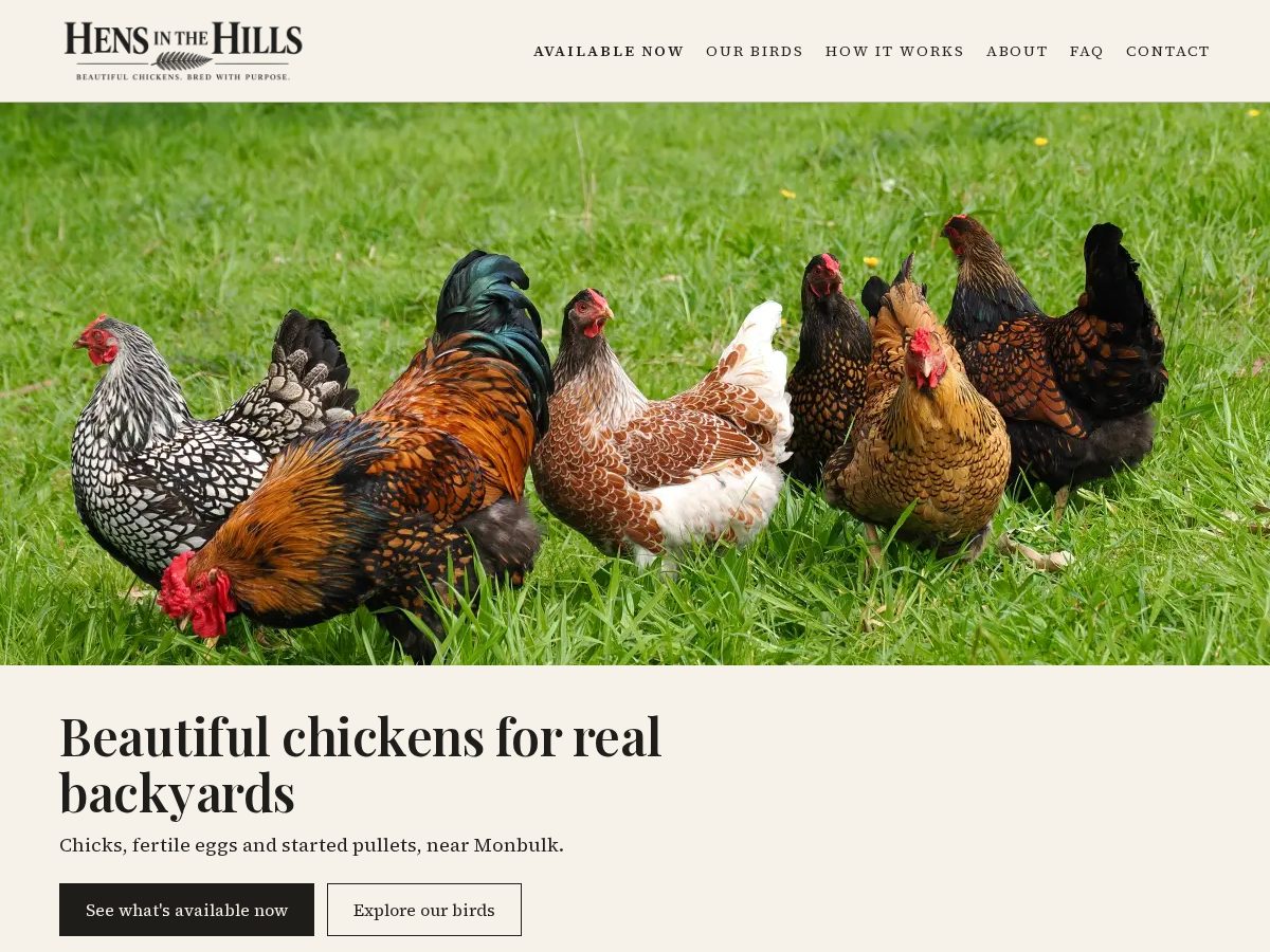 Landing-page snapshot of hensinthehills.com