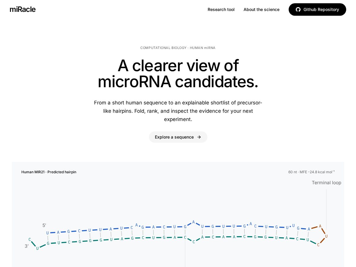 Landing-page snapshot of miracle-vienna.tech