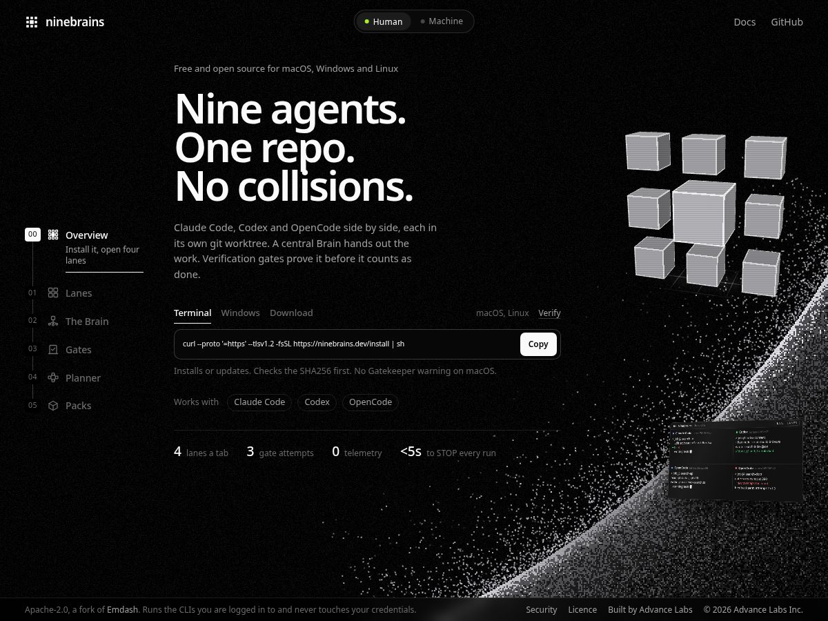 Landing-page snapshot of ninebrains.dev
