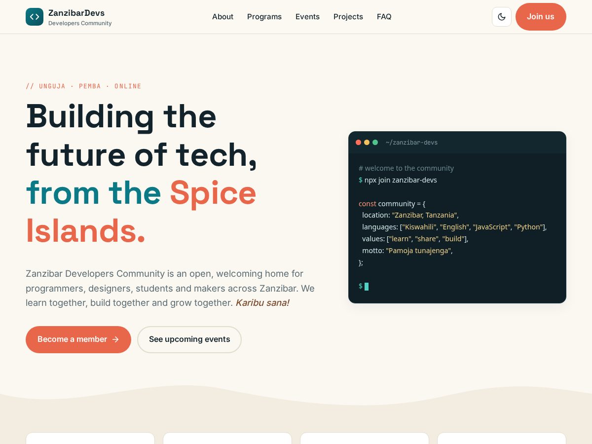 Landing-page snapshot of zanzibardevelopers.com