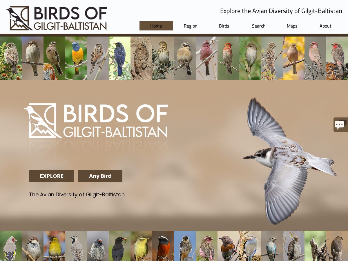 Landing-page snapshot of birdsofgilgit.com