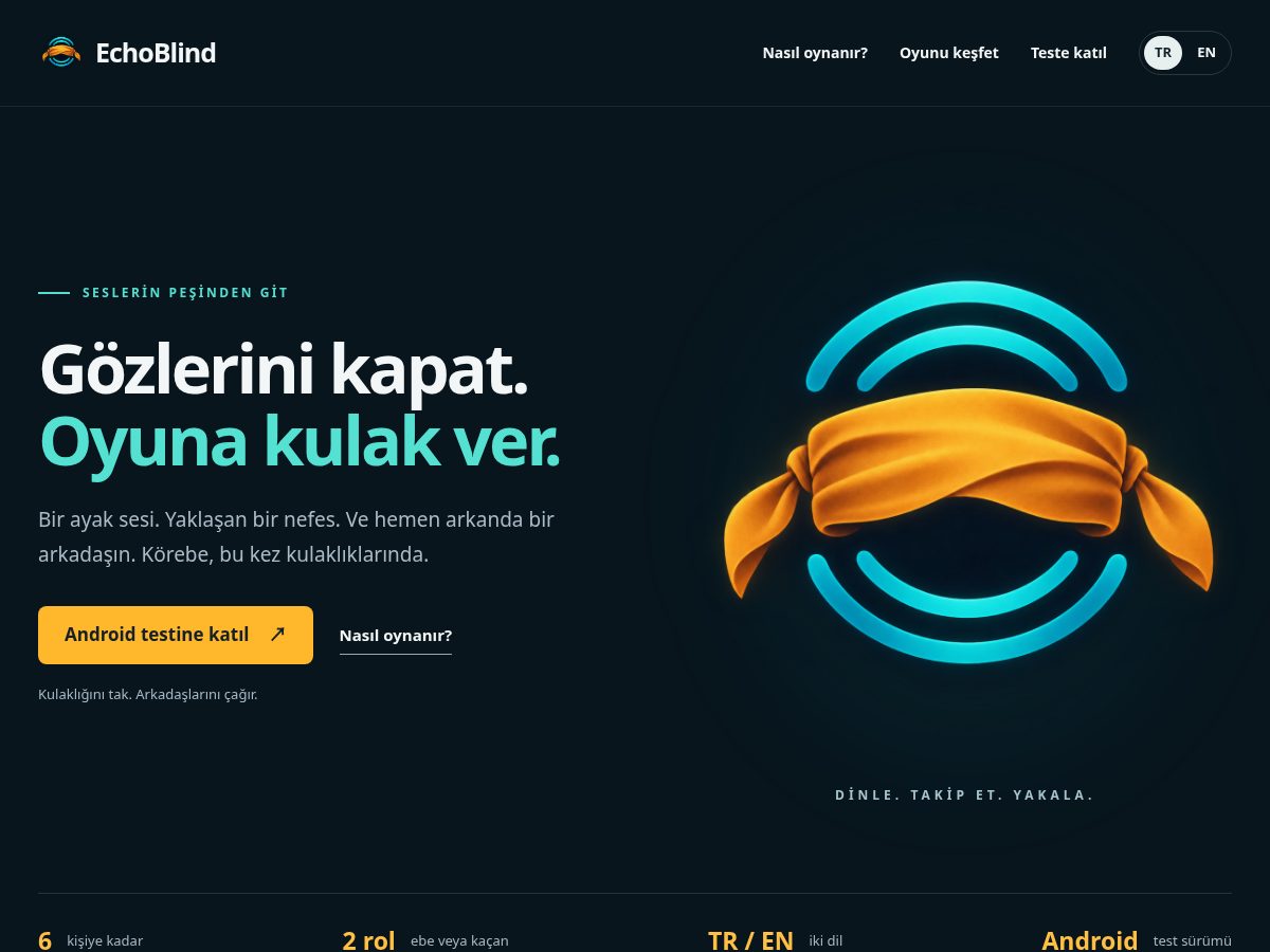 Landing-page snapshot of echoblind.com