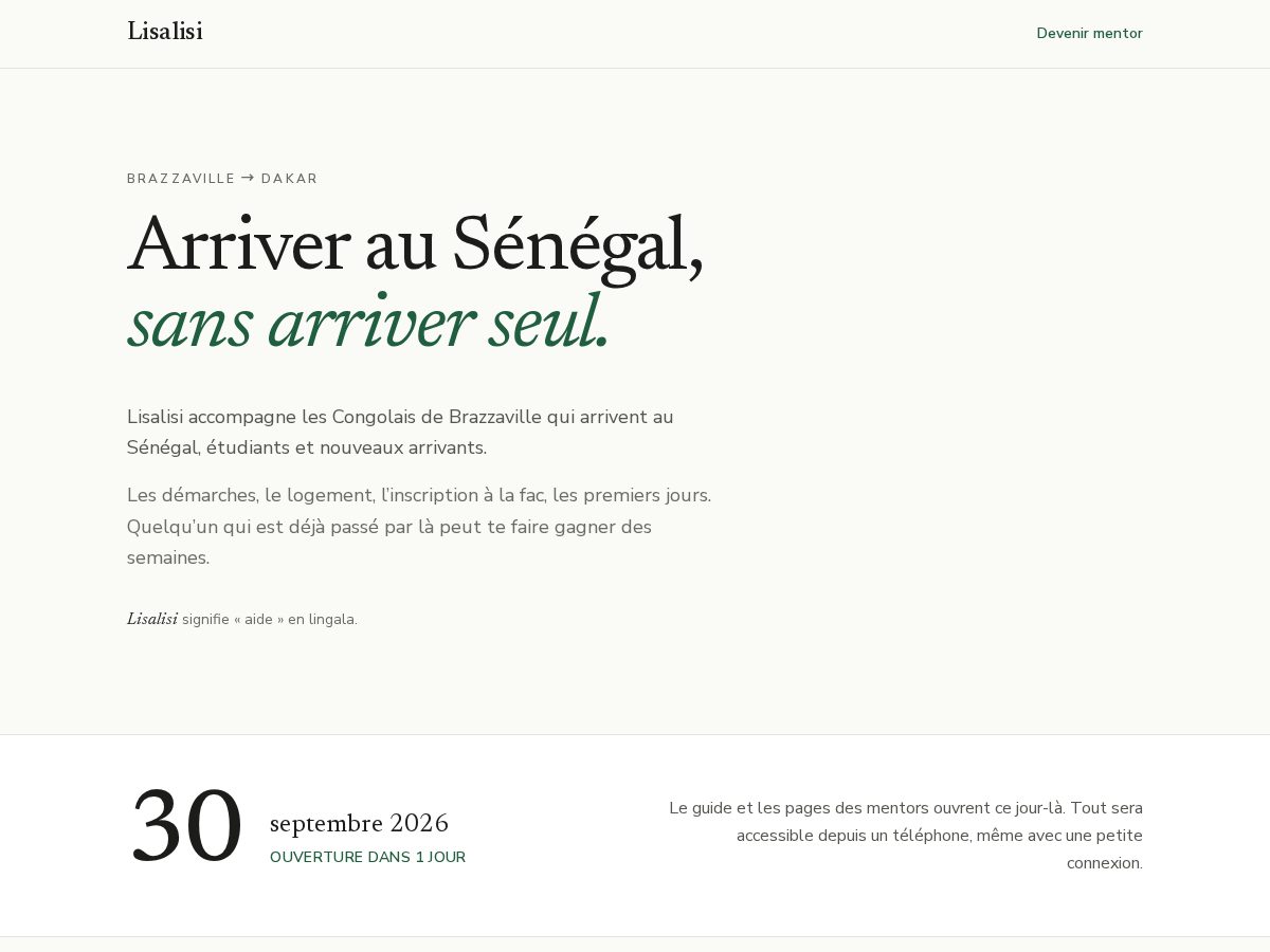 Landing-page snapshot of lisalisi.org
