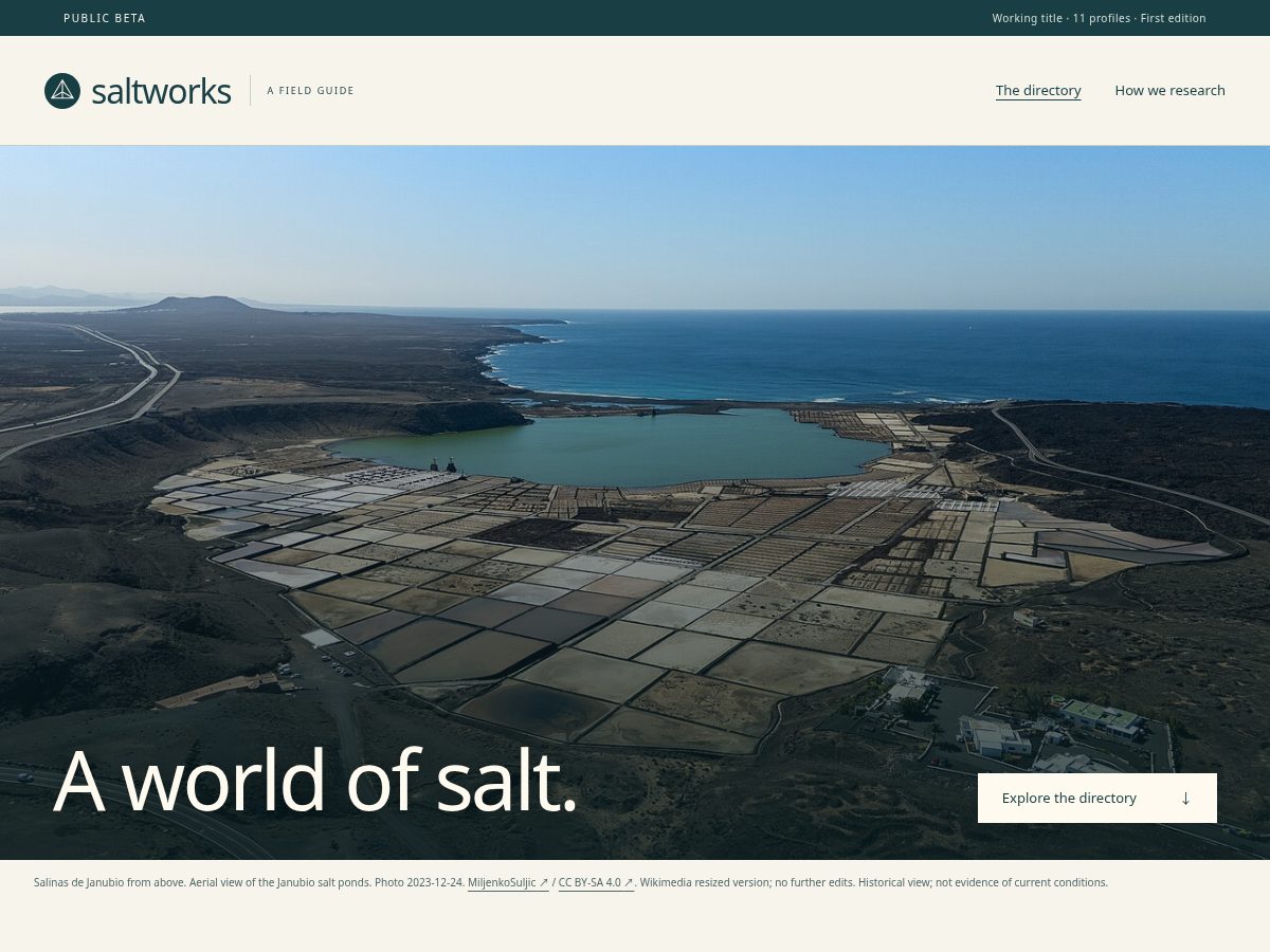Landing-page snapshot of salinasol.com
