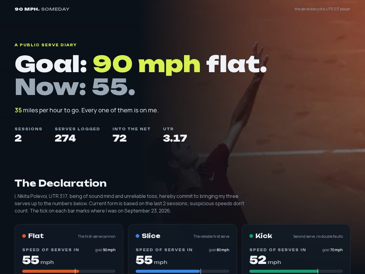 Landing-page snapshot of servediary.com