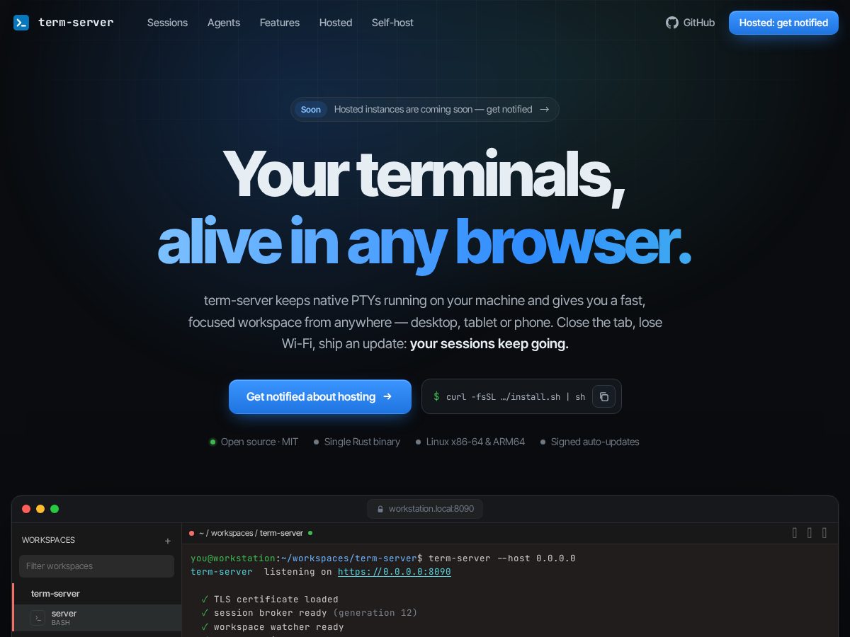 Landing-page snapshot of termserver.dev