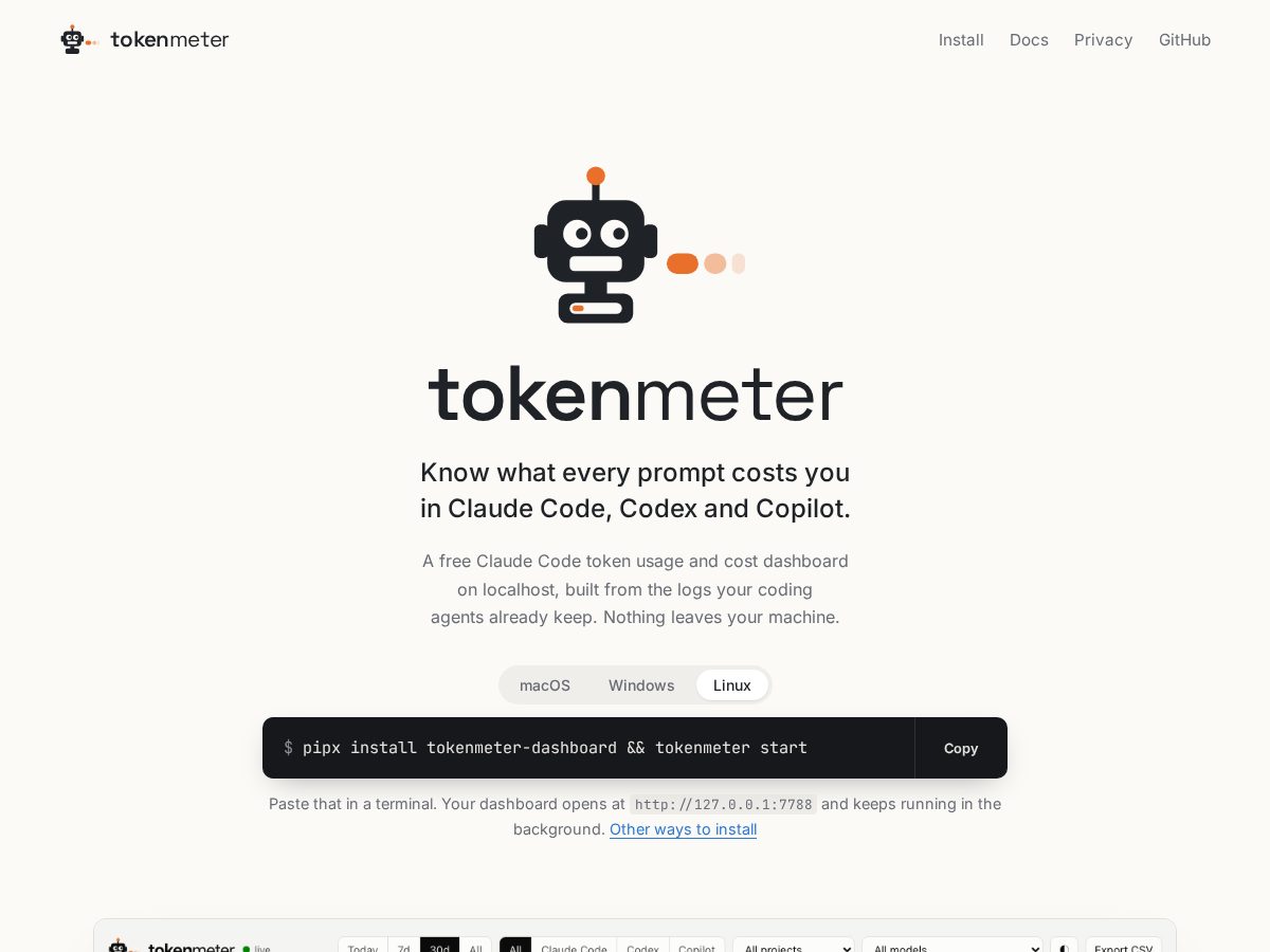 Landing-page snapshot of tokenmeter.fyi