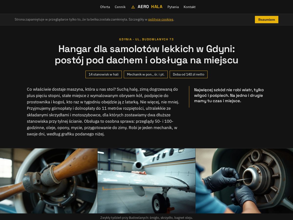 Landing-page snapshot of aerohala.online