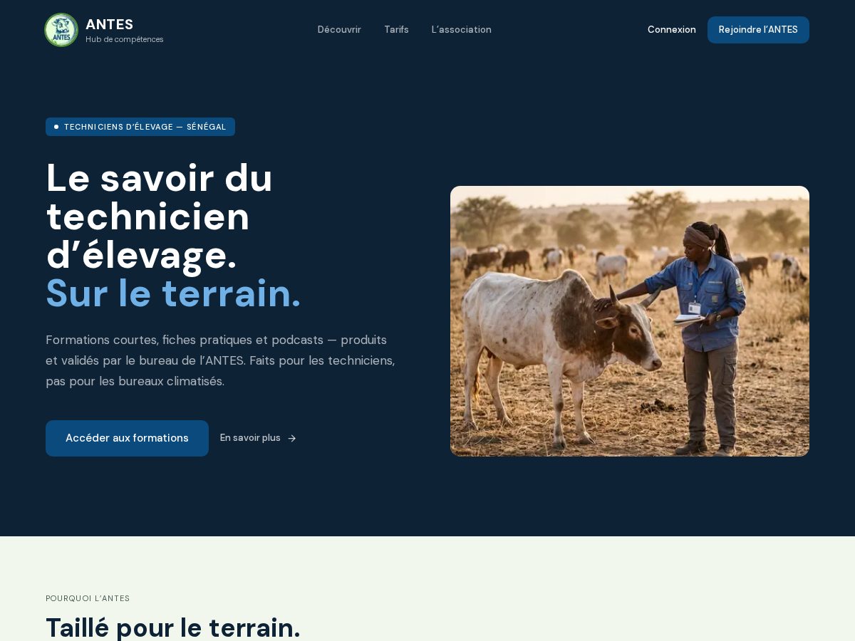 Landing-page snapshot of antes-academy.com