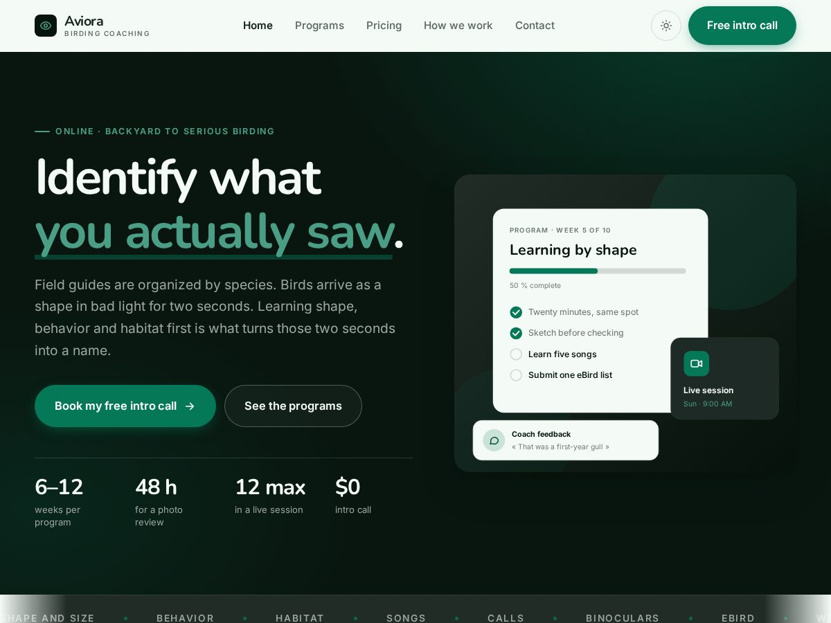Landing-page snapshot of aviora.shop