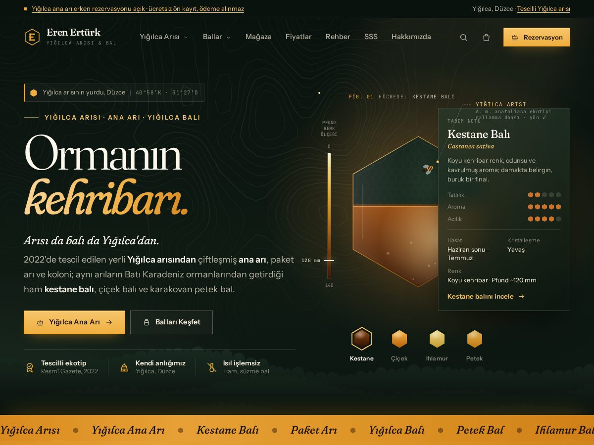 Landing-page snapshot of erenerturk.com