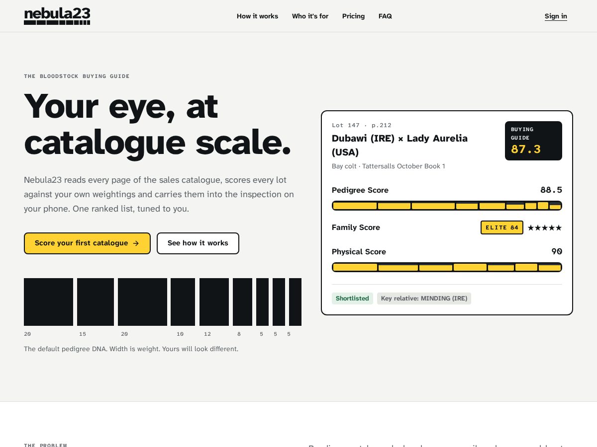 Landing-page snapshot of nebula23.com