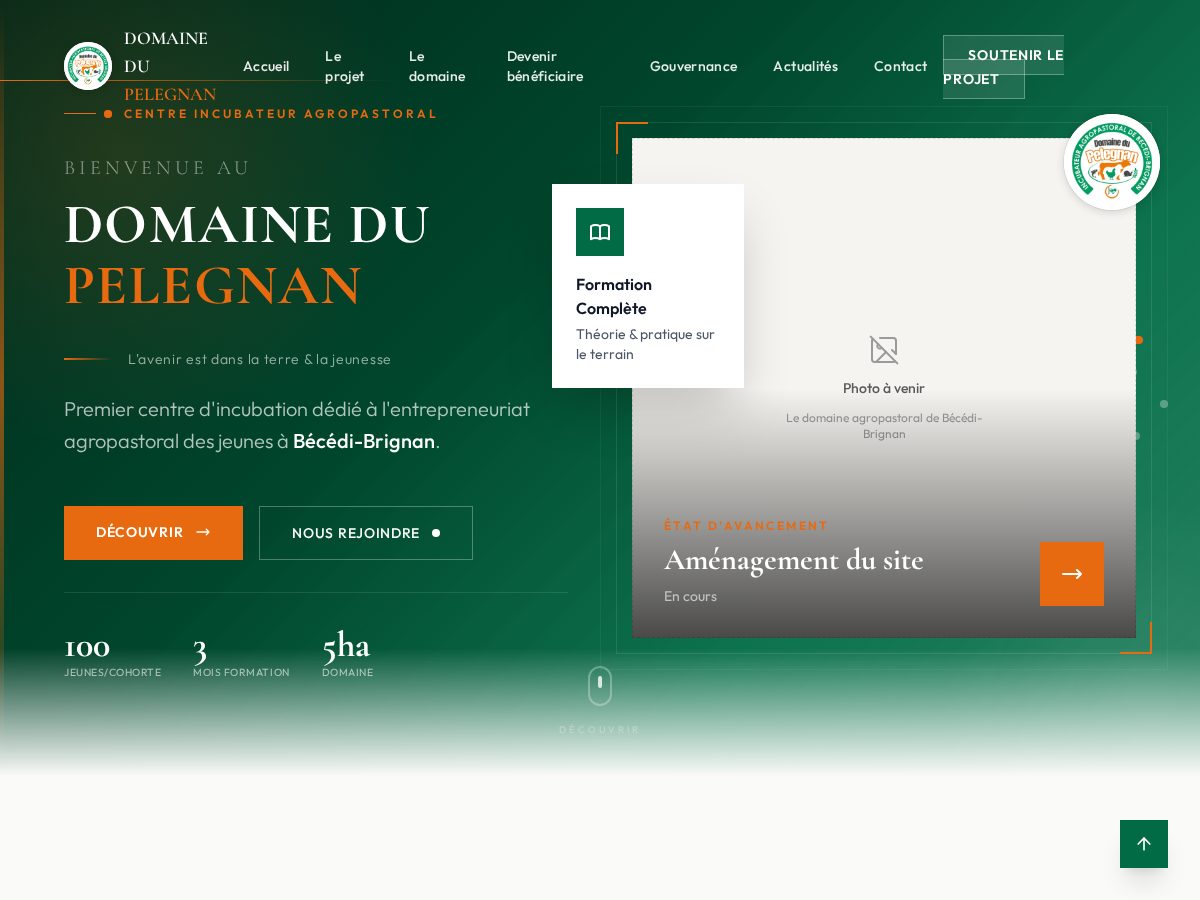 Landing-page snapshot of pelegnan.com