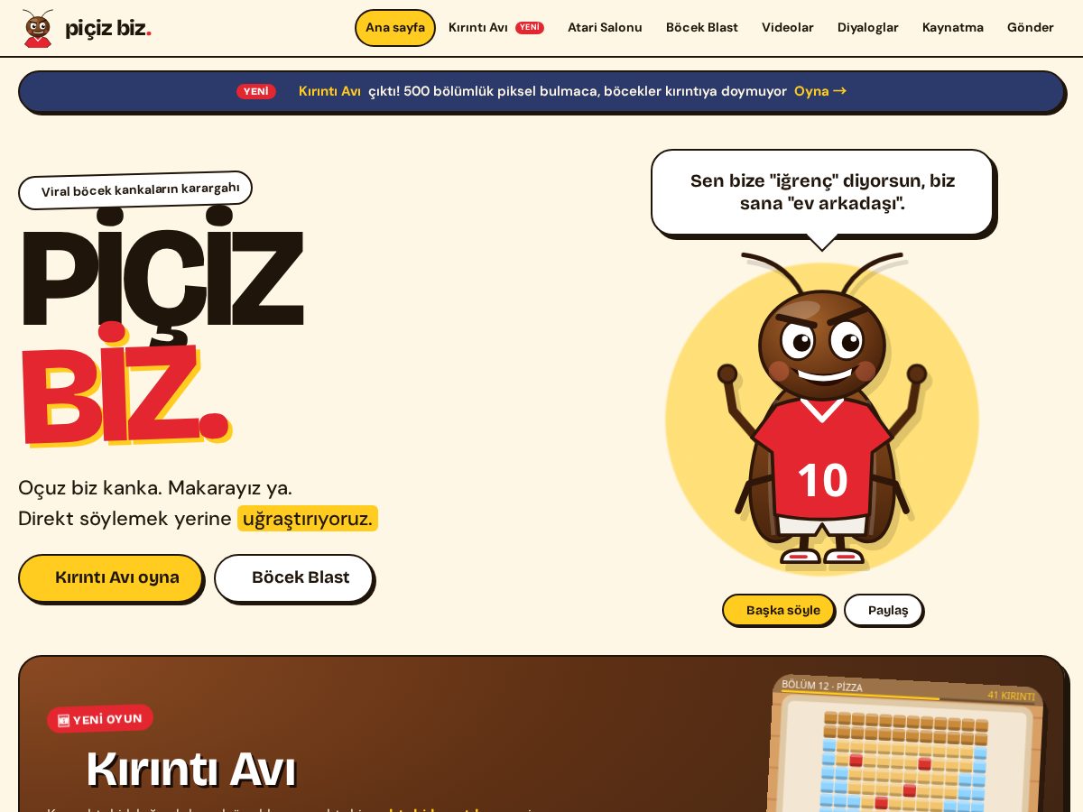 Landing-page snapshot of picizbiz.com