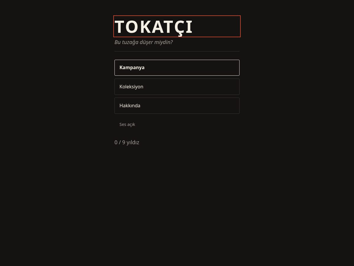 Landing-page snapshot of tokatci.net