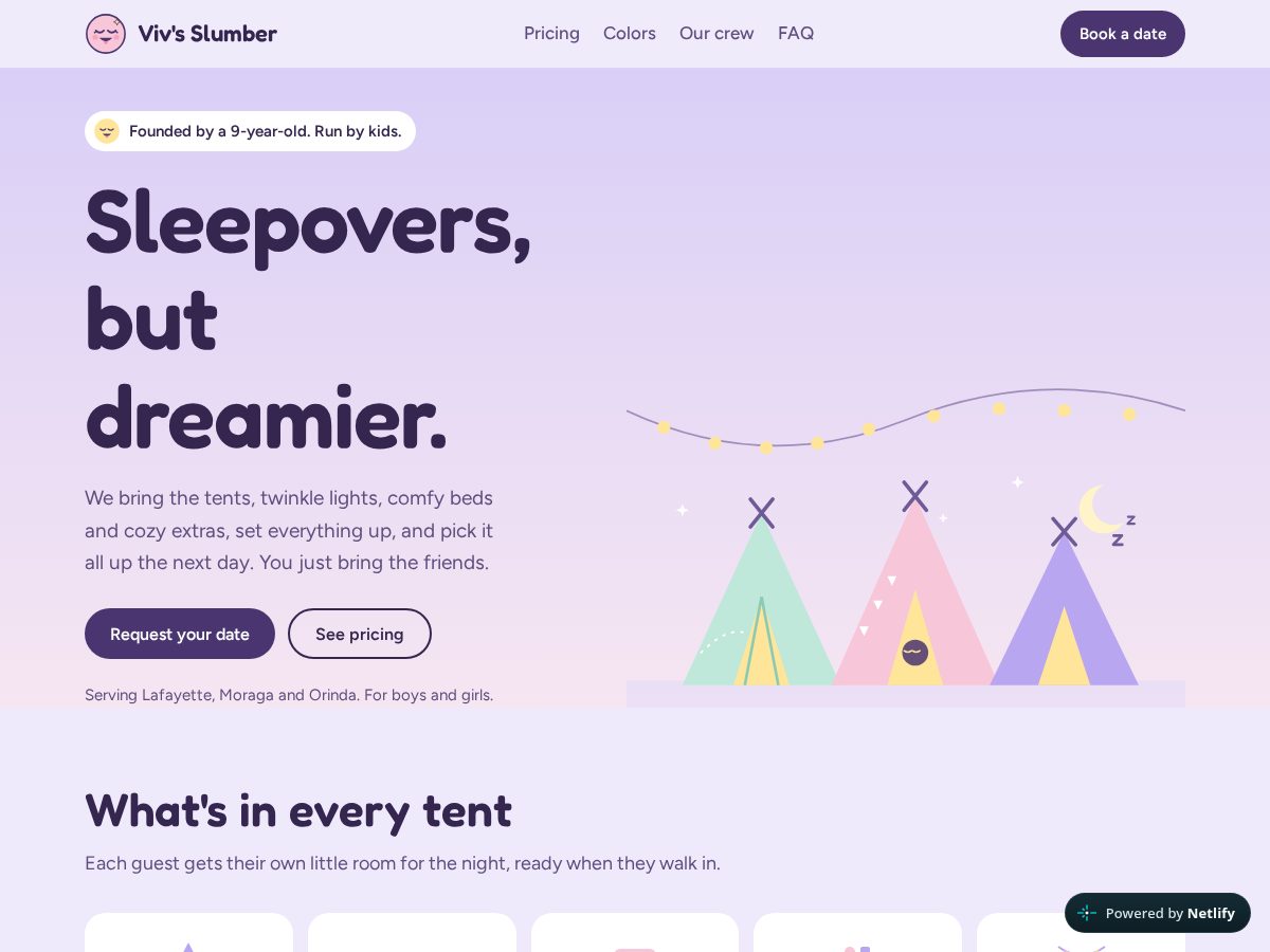 Landing-page snapshot of vivsslumber.com