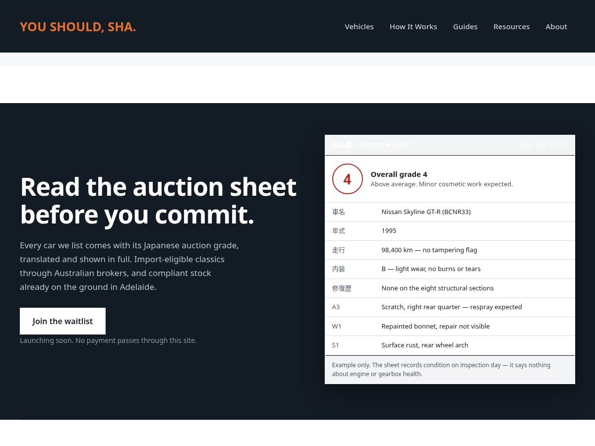Landing-page snapshot of youshouldsha.com