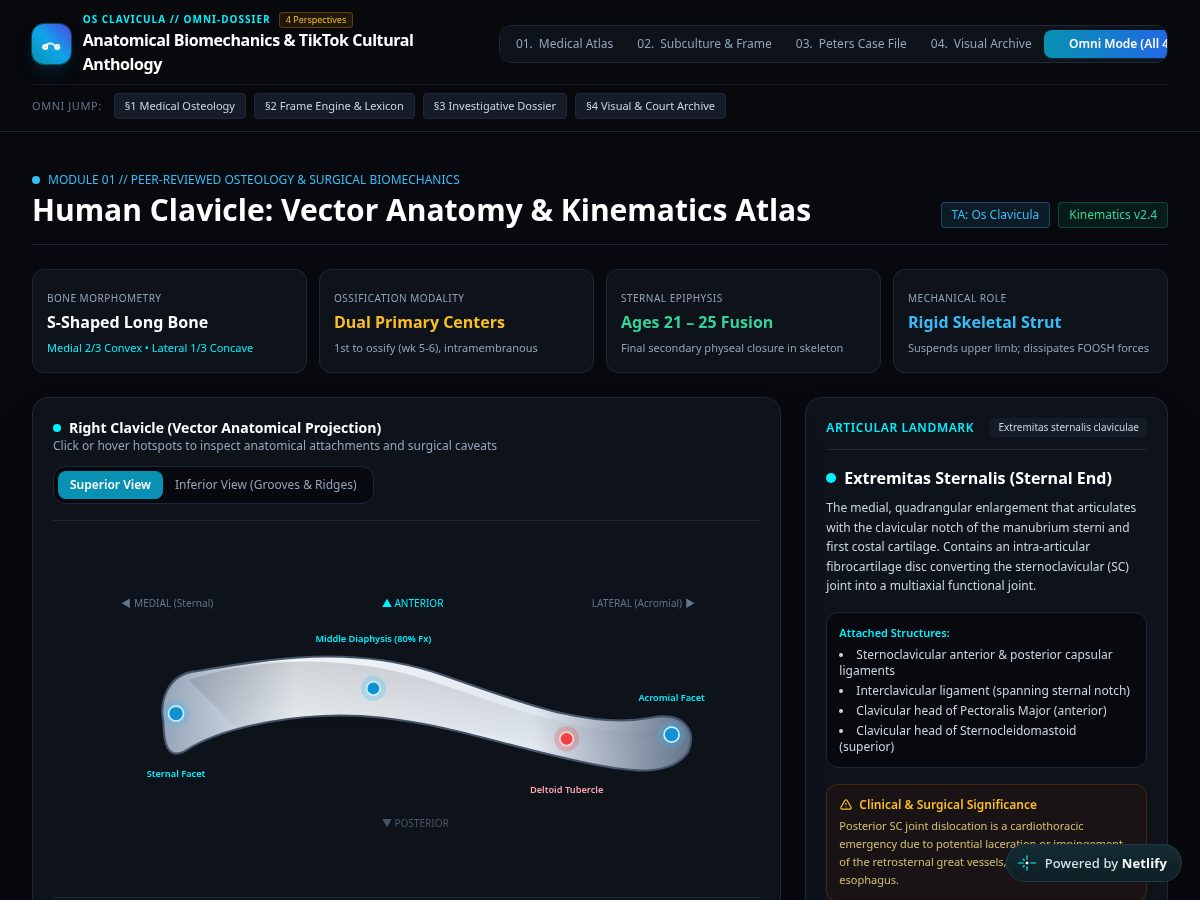 Landing-page snapshot of clavicular.site
