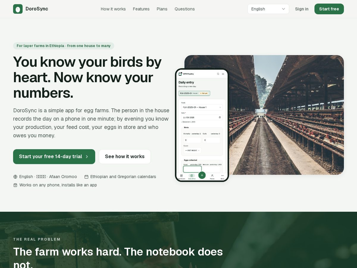 Landing-page snapshot of dorosync.com