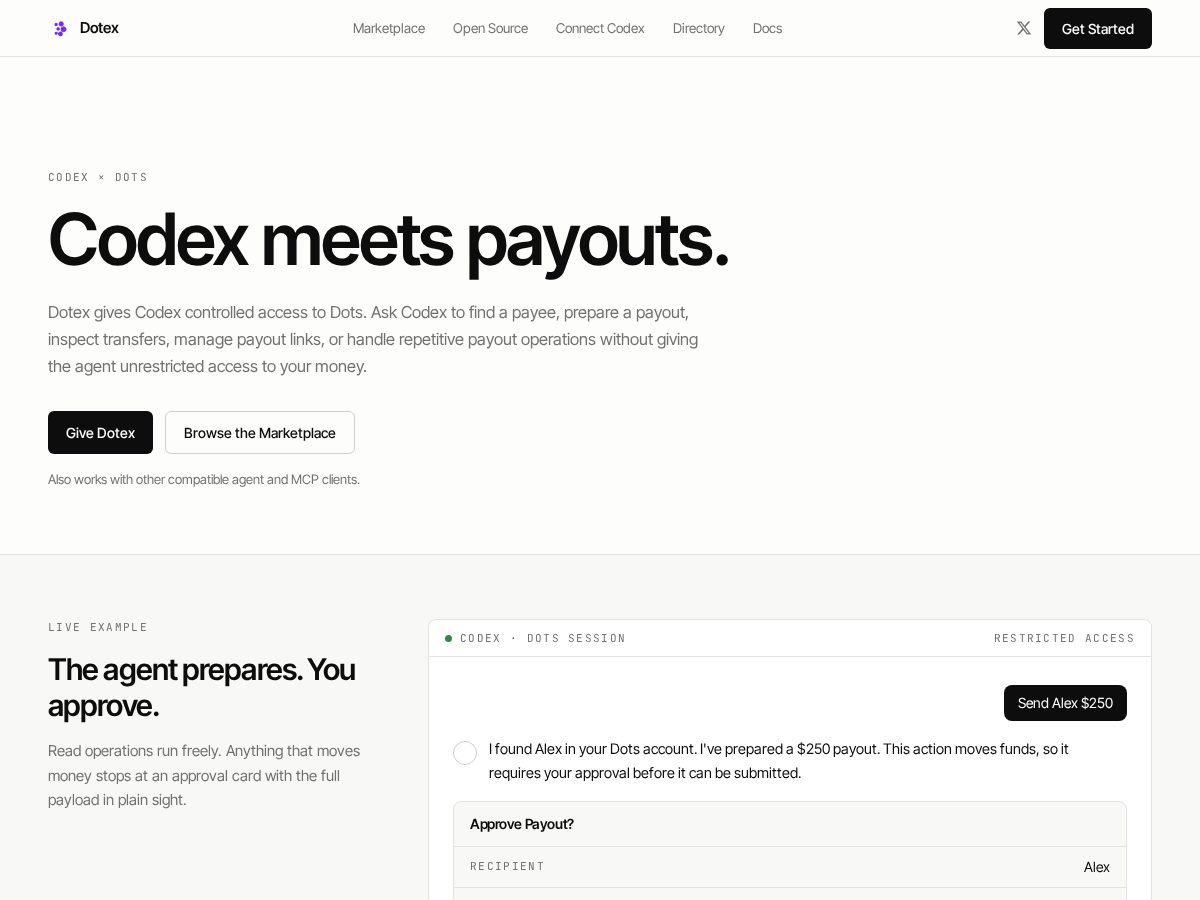 Landing-page snapshot of dotex.online