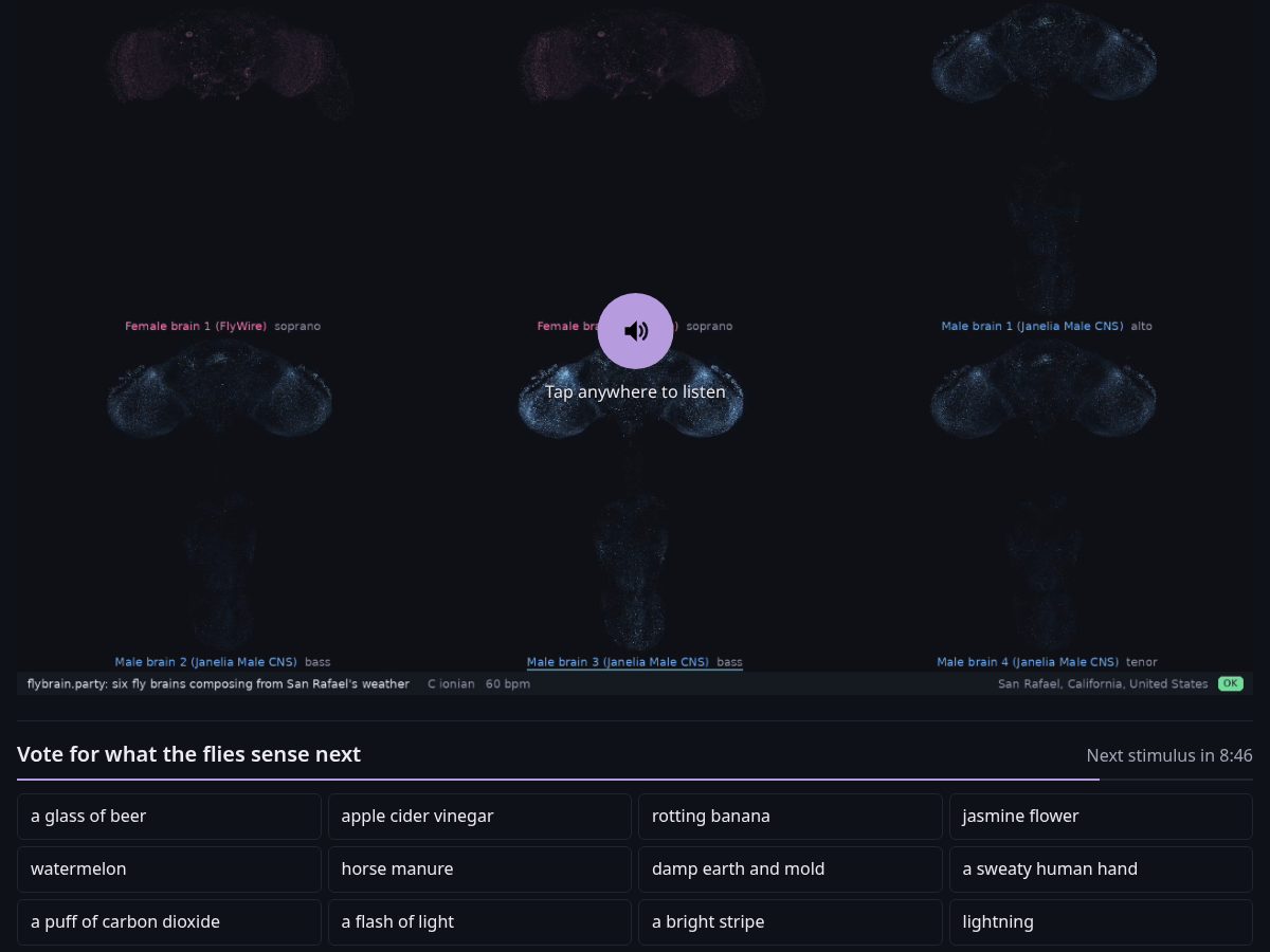 Landing-page snapshot of flybrain.party