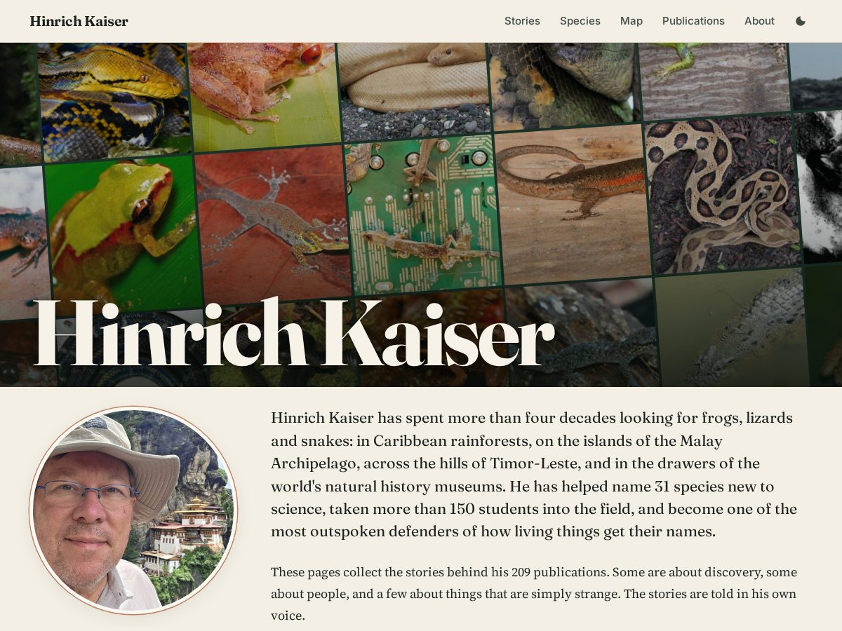 Landing-page snapshot of hinrichkaiser.com
