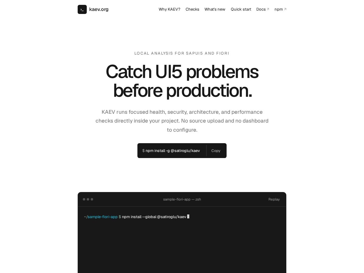 Landing-page snapshot of kaev.org