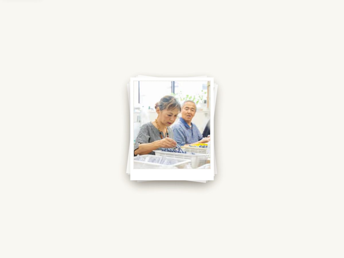 Landing-page snapshot of kamome-2525.com