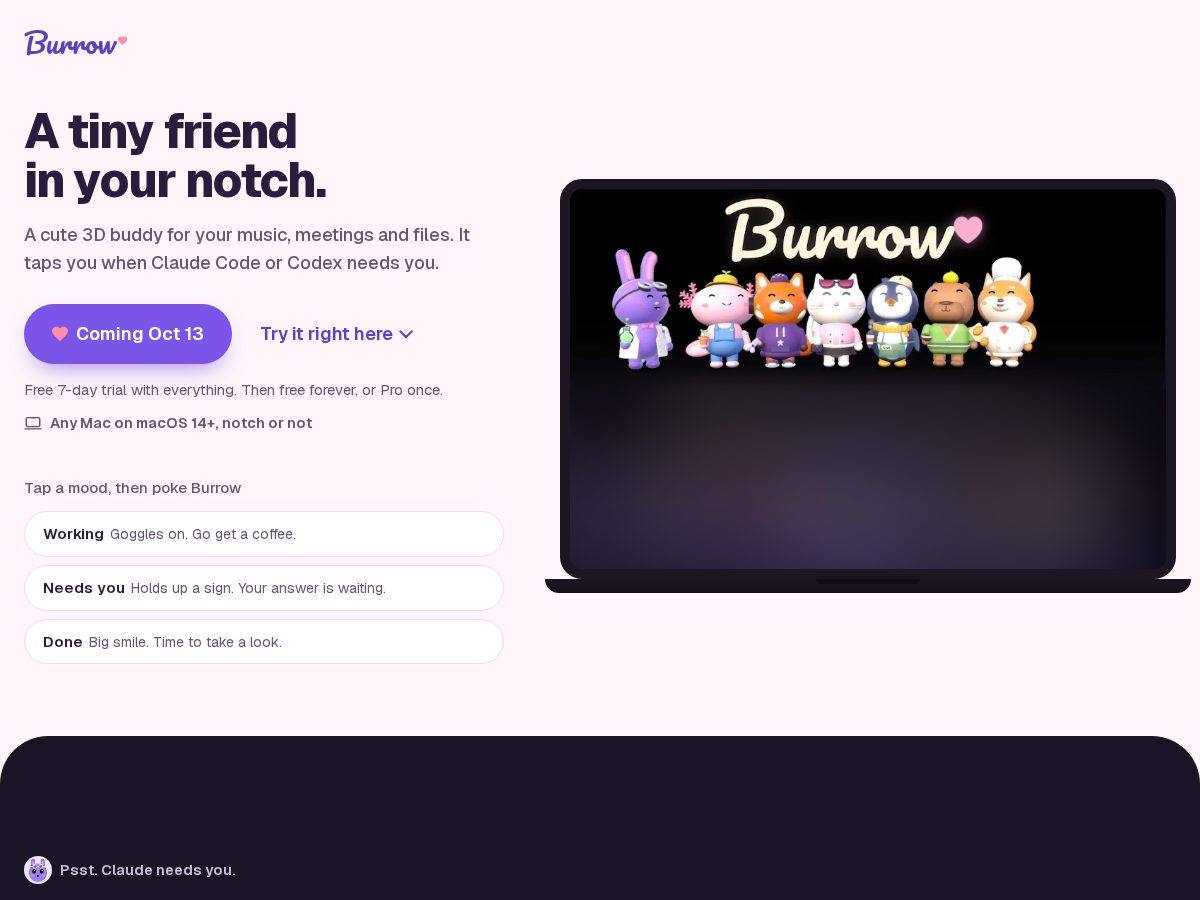 Landing-page snapshot of meetburrow.com