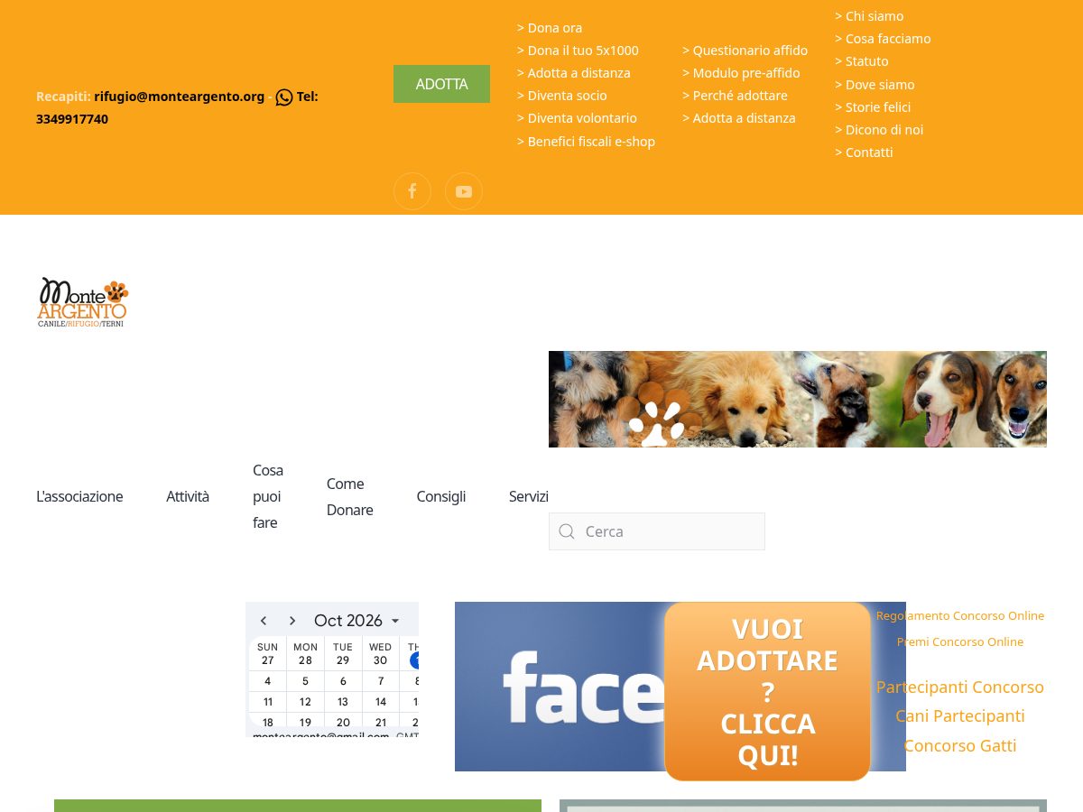 Landing-page snapshot of monteargento.org