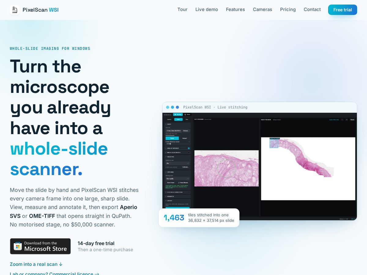 Landing-page snapshot of pixelscanwsi.com